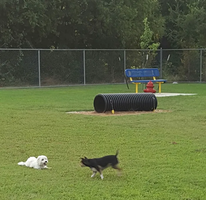 Ft. Woof Dog Park 8