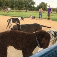 Ft. Woof Dog Park ico