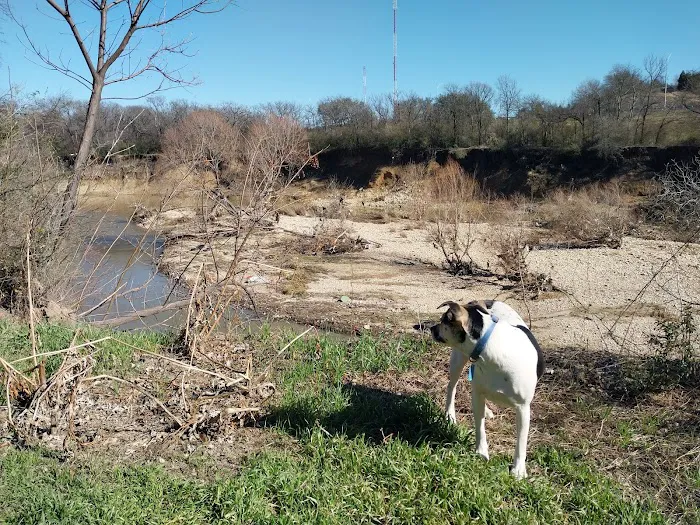 Ft. Woof Dog Park 2
