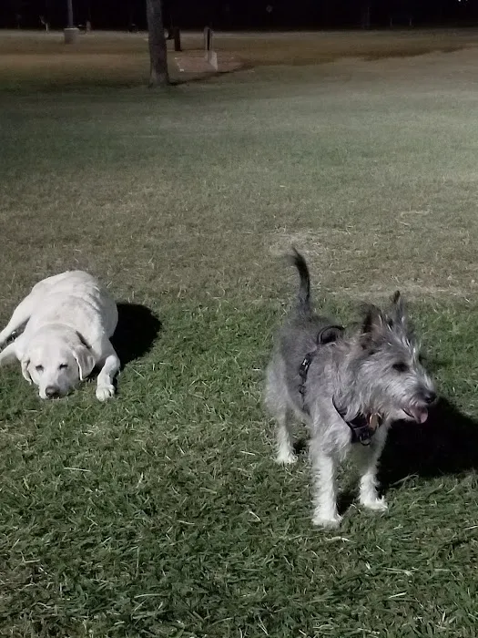 Ft. Woof Dog Park 3