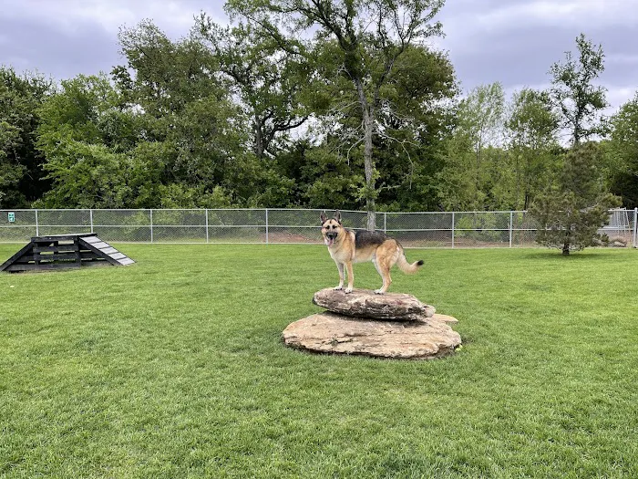 Hound Mound Dog Park 2