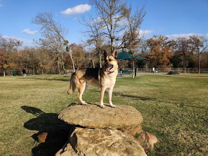 Hound Mound Dog Park 5