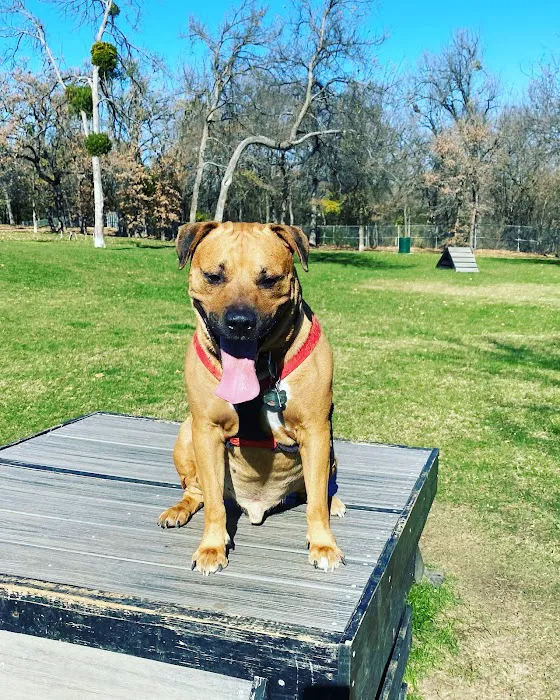 Hound Mound Dog Park 7
