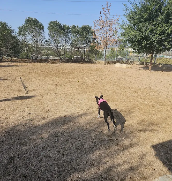 Calhound Dog Park 5