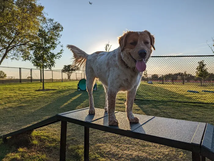 Burleson Bark Park 2