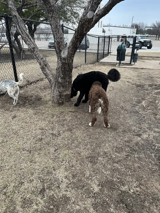 Burleson Bark Park 4