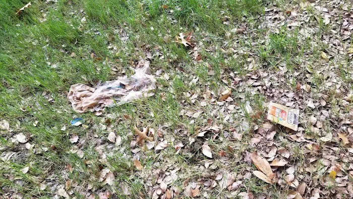 Bark Park at First Flight 4
