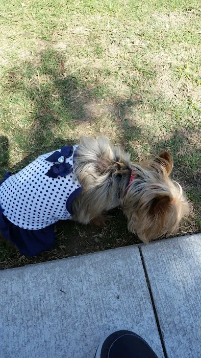 Pawsome Playground Dog Park 1