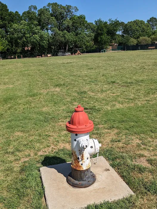 Pawsome Playground Dog Park 4