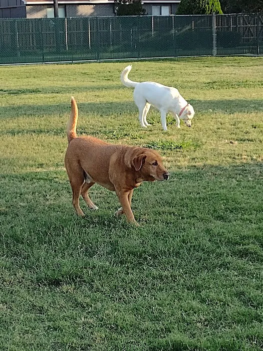 Pawsome Playground Dog Park 8