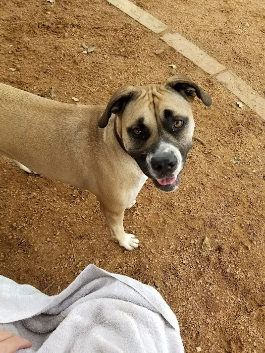 NRH Tipps Canine Hollow Dog Park 1