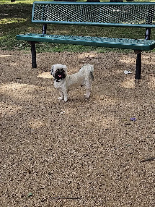 NRH Tipps Canine Hollow Dog Park 2