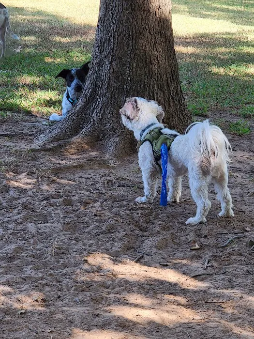 NRH Tipps Canine Hollow Dog Park 8