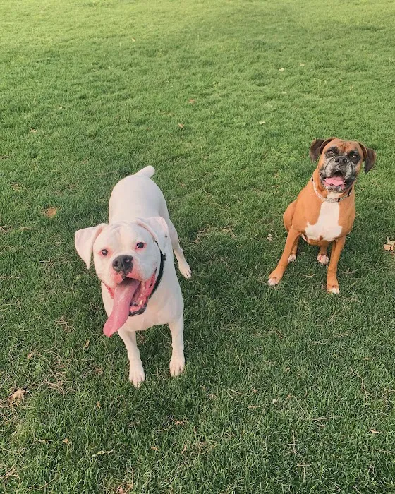 NRH Tipps Canine Hollow Dog Park 9