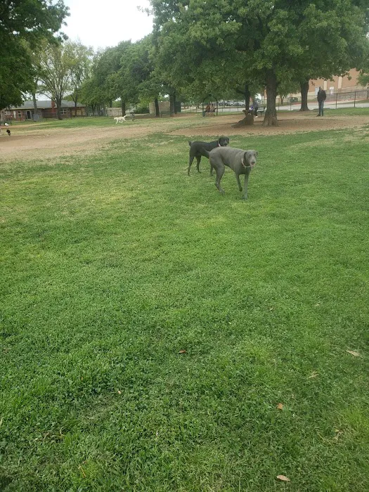 NRH Tipps Canine Hollow Dog Park 10