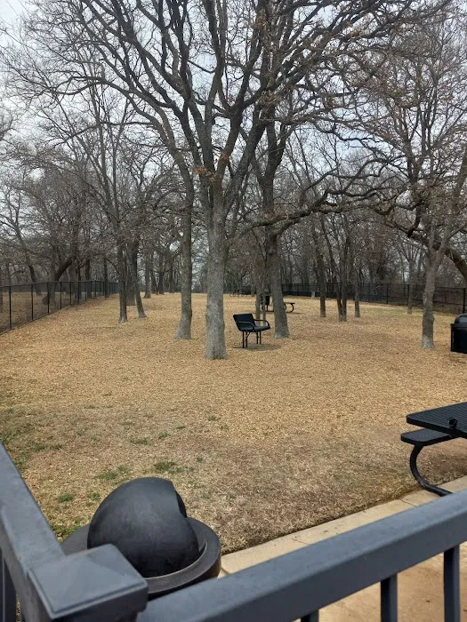 Boo Boo's Buddies Dog Park 2