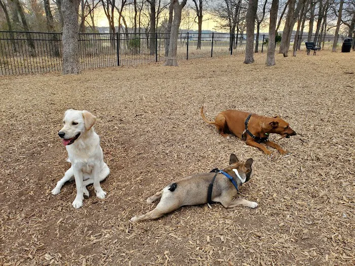 Boo Boo's Buddies Dog Park 8
