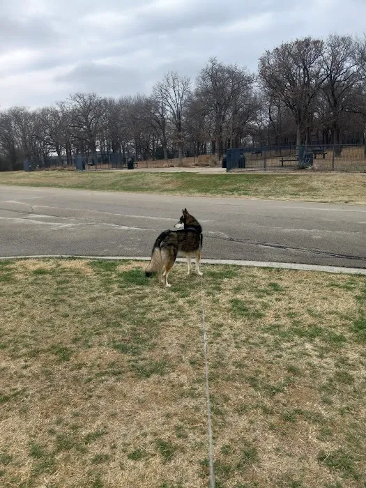 Boo Boo's Buddies Dog Park 1