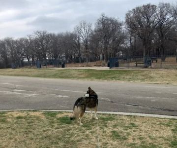 Boo Boo's Buddies Dog Park
