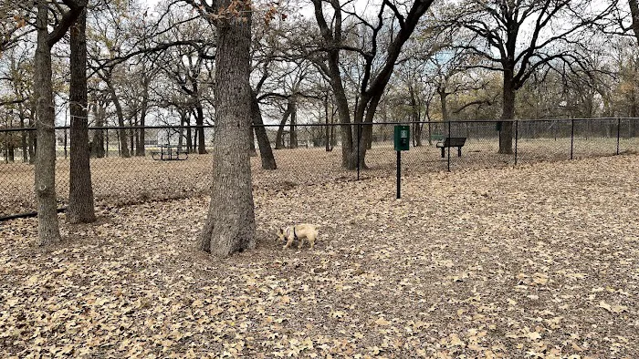 Boo Boo's Buddies Dog Park 7