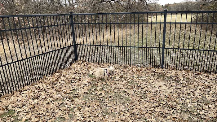 Boo Boo's Buddies Dog Park 5
