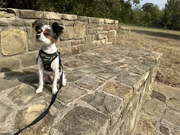 Boo Boo's Buddies Dog Park 9