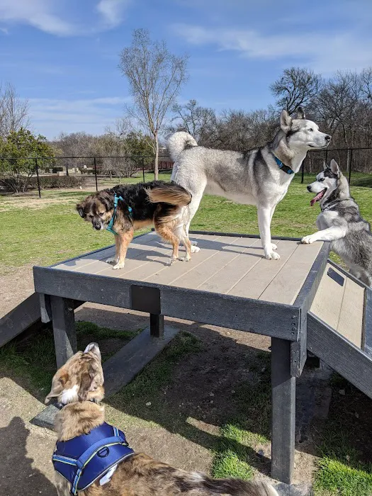 K9 Pointe Dog Park 6