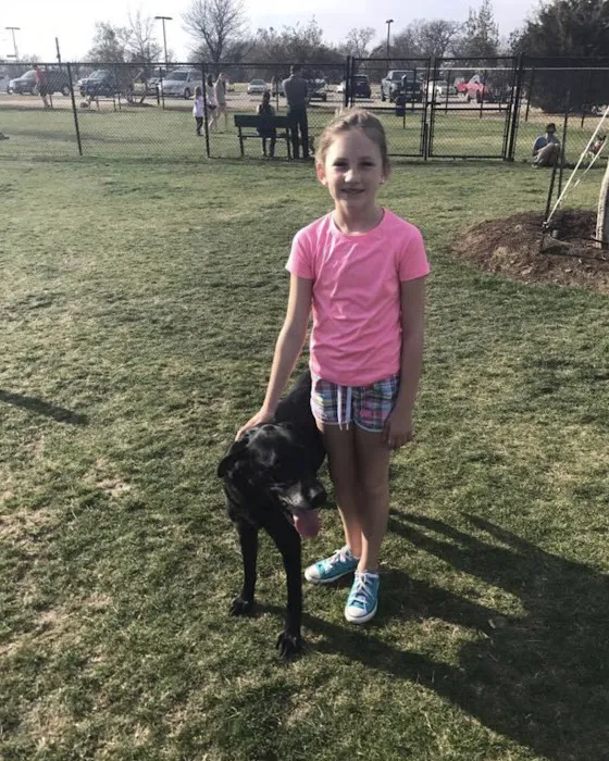 K9 Pointe Dog Park 9