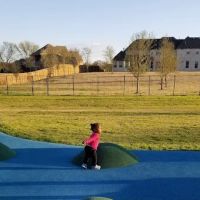 K9 Pointe Dog Park ico