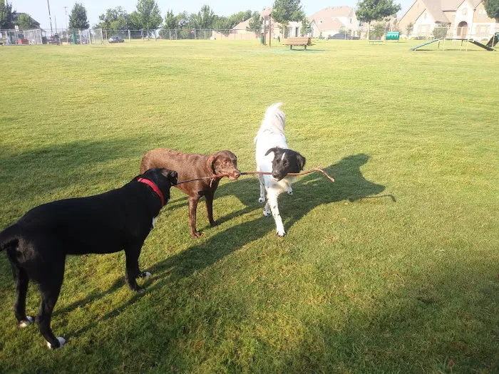 Freedom Dog Park 1