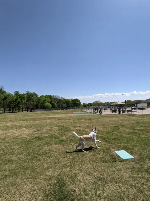 Freedom Dog Park 7