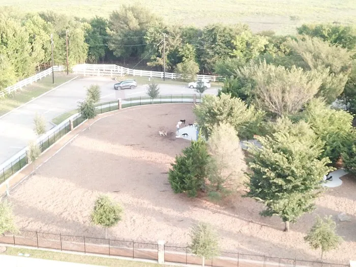 K9 Corral at Craig Ranch 8