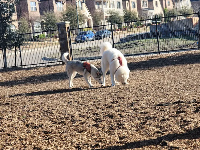K9 Corral at Craig Ranch 7