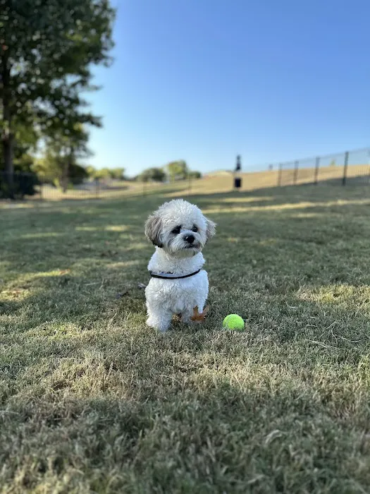Scotti's Dog Park (Private) 6