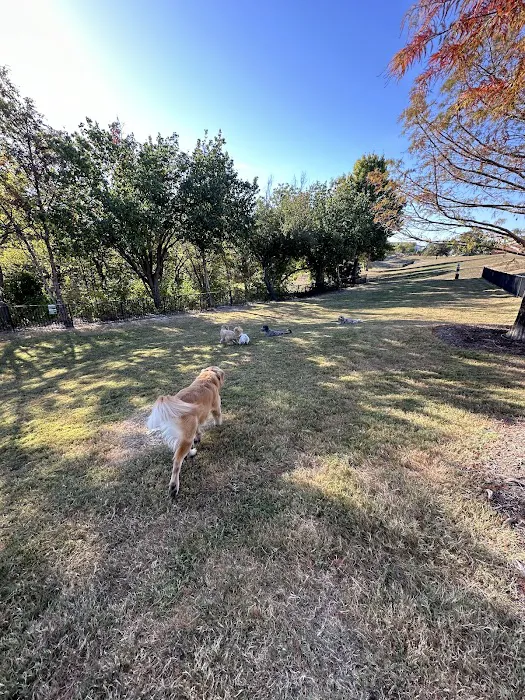 Scotti's Dog Park (Private) 2