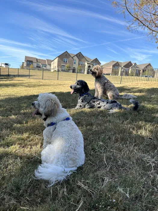 Scotti's Dog Park (Private) 1
