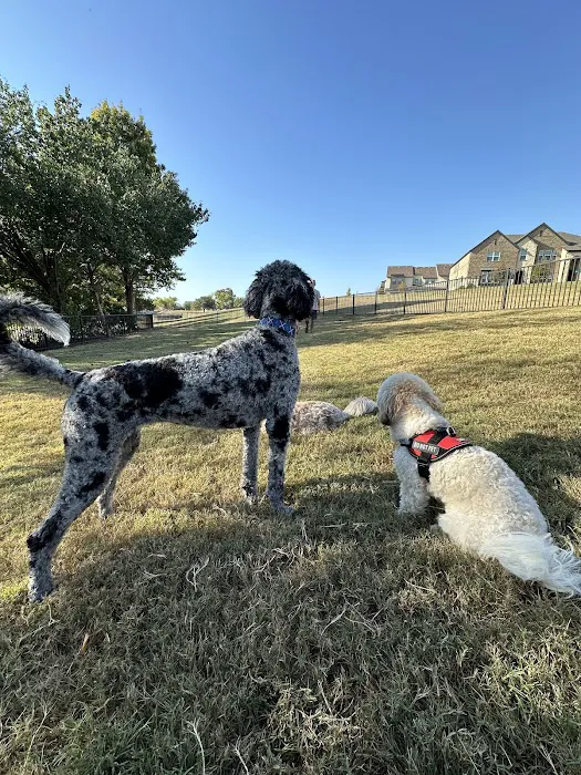 Scotti's Dog Park (Private) 5