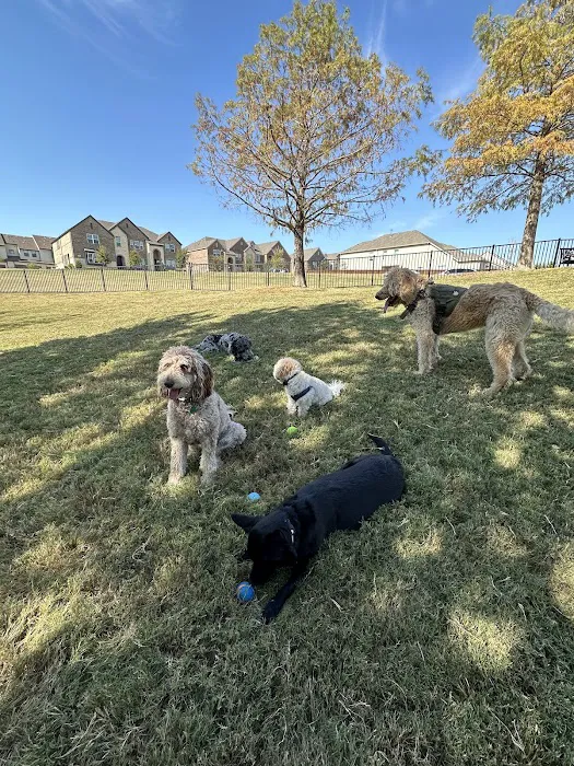 Scotti's Dog Park (Private) 3