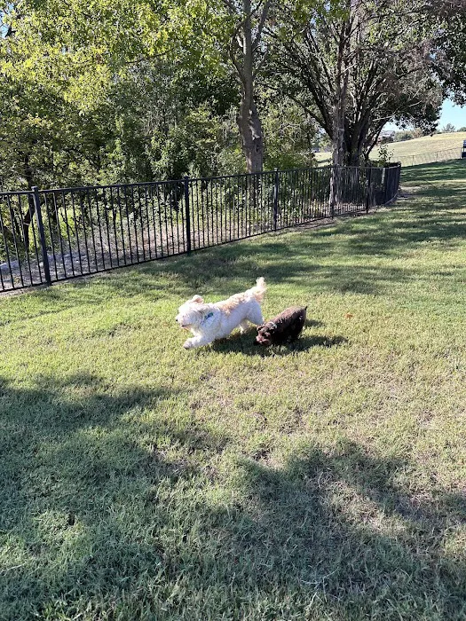Scotti's Dog Park (Private) 7