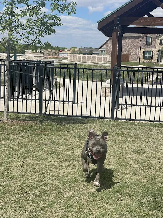Charlie's Pet Park 2