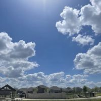 Charlie's Pet Park ico