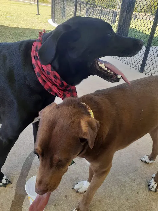 Princeton Dog Park 3
