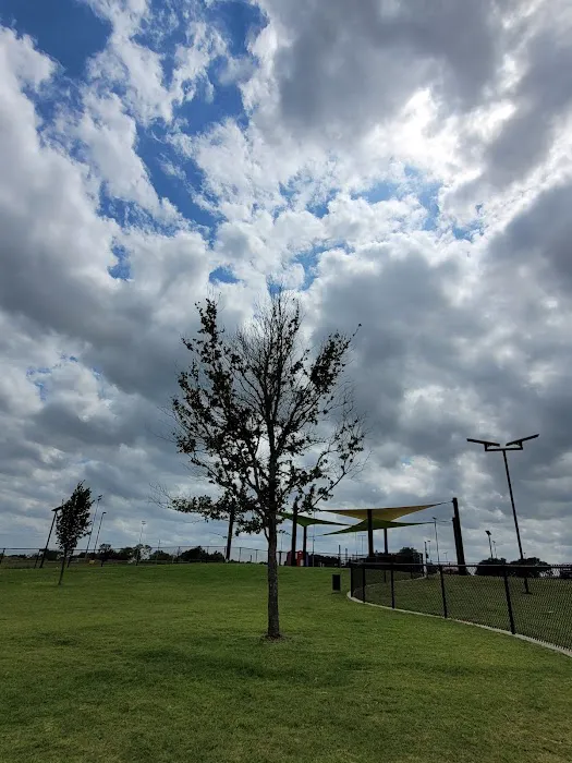 Princeton Dog Park 2