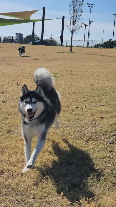 Princeton Dog Park 9
