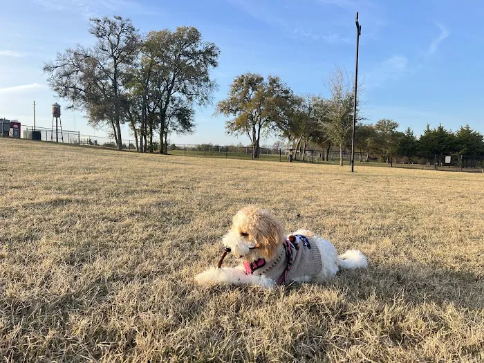 Princeton Dog Park 5
