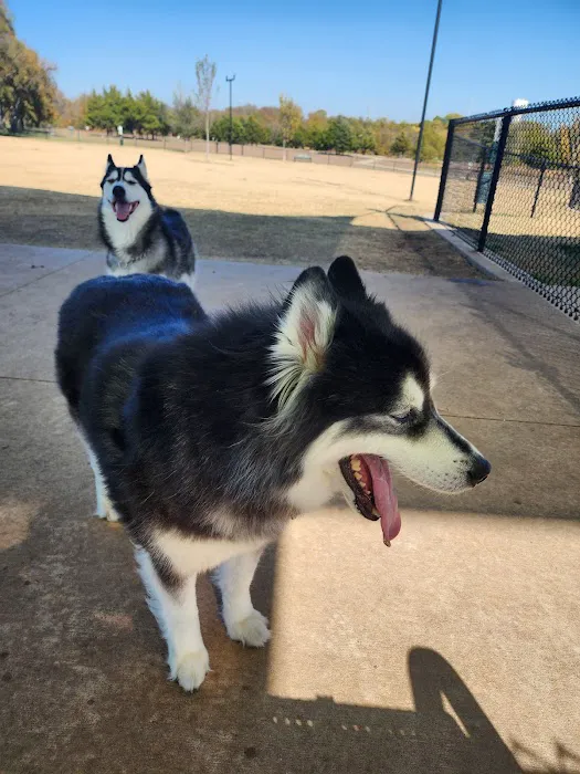Princeton Dog Park 7