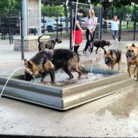 Bonnie Wenk Park Dog Park ico