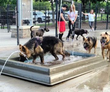 Bonnie Wenk Park Dog Park