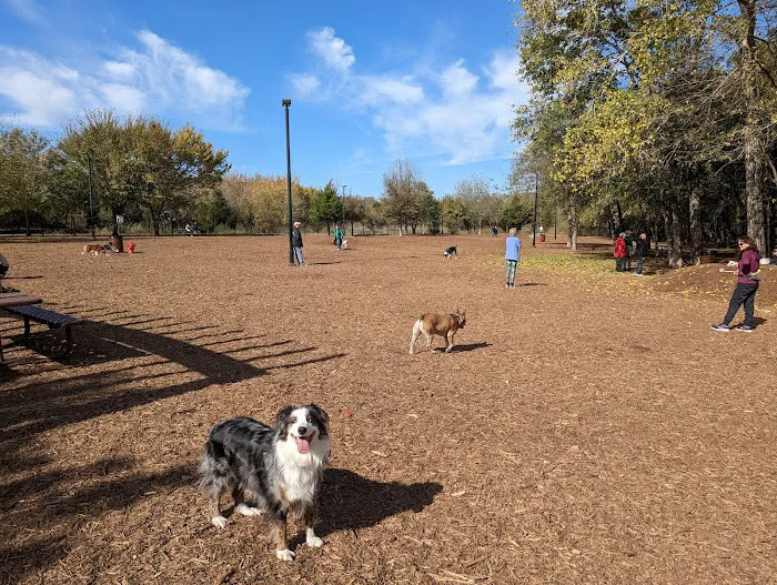Bonnie Wenk Park Dog Park 7