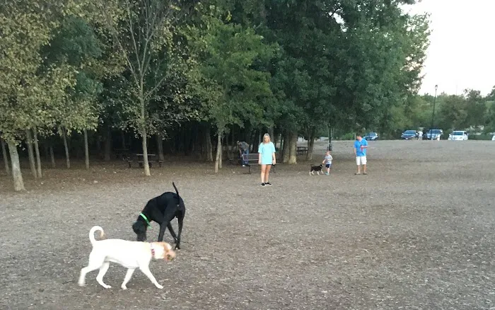 Bonnie Wenk Park Dog Park 3